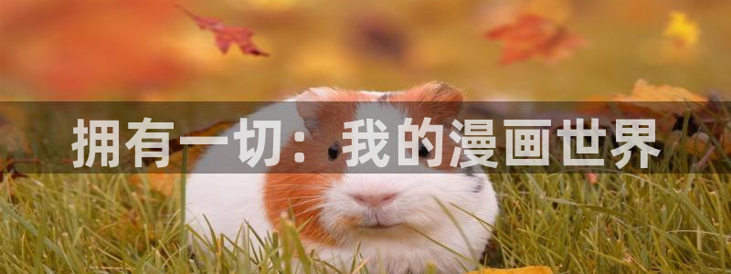 漫蛙免费在线观看