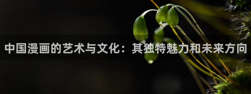 漫蛙漫画软件下载：中国漫画的艺术与文化：其独特魅力和未来方向